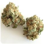 Шишки "White Widow" (Белая вдова) Гидропоника - Бошка VHQ в Лабытнанги Шишки "White Widow" (Белая вдова) Гидропоника - Бошка VHQ в Лабытнанги