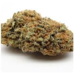 Шишки AK47 (Гидропоника, Бошка) VHQ в Лабытнанги Шишки AK47 (Гидропоника, Бошка) VHQ в Лабытнанги